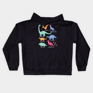 Types of Dinosaurs Future Paleontologist Kids Dino Lover Kids Hoodie